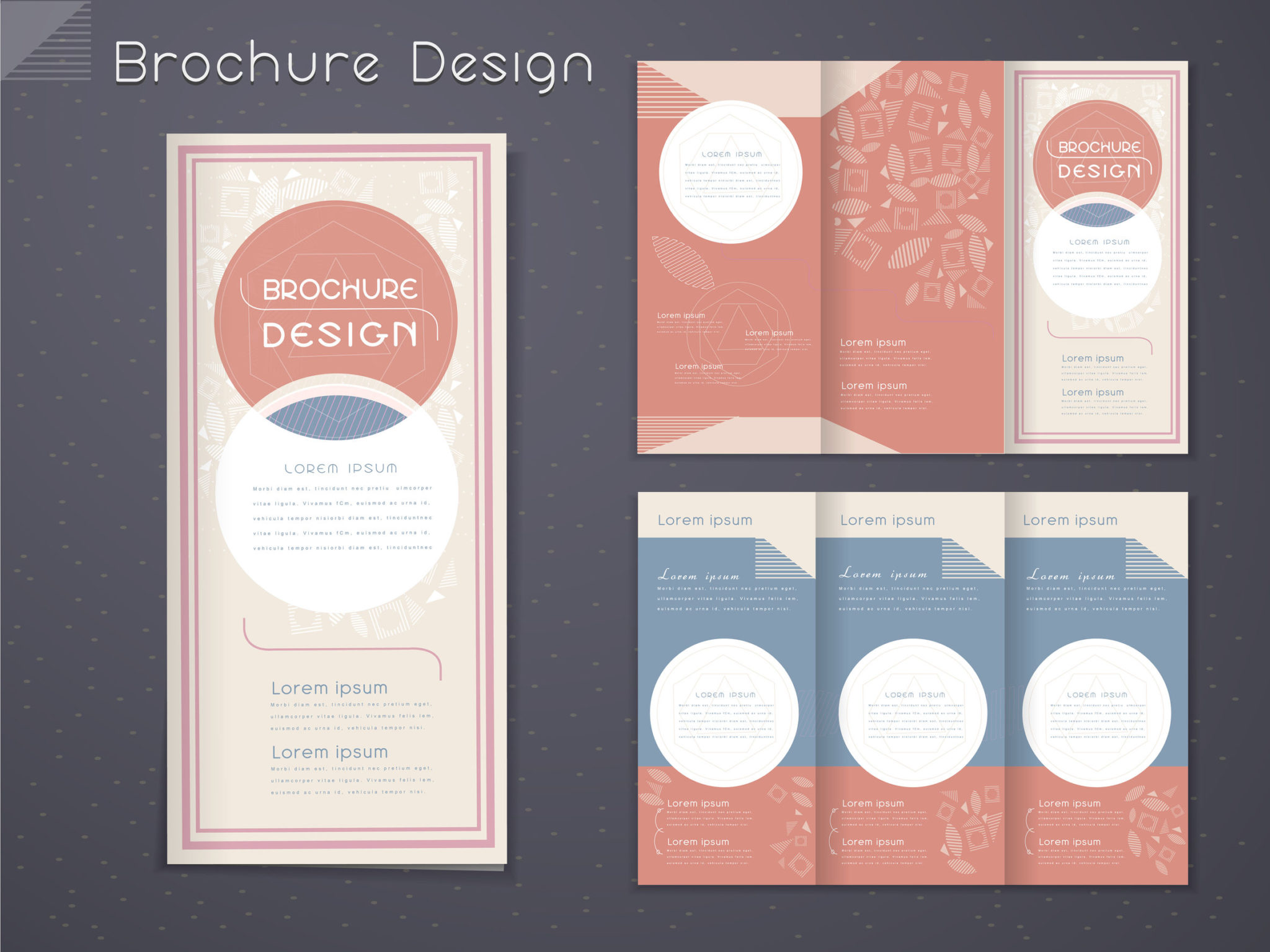best brochure design in panchkula