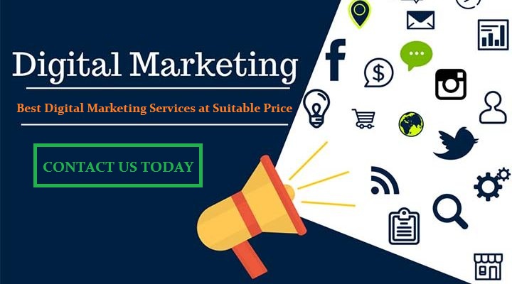 Best Digital Marketing Company For New Startup In Chandigarh