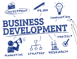 BUSINESS DEVELOPMENT COMPANY IN PUNJAB